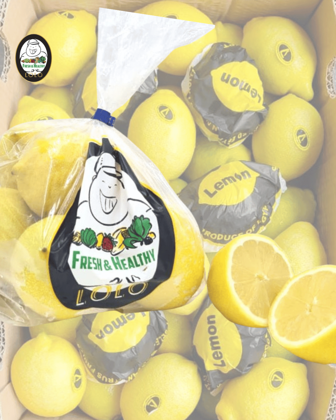LOLO FRESH Egypt Lemon (4pcs) XL size
