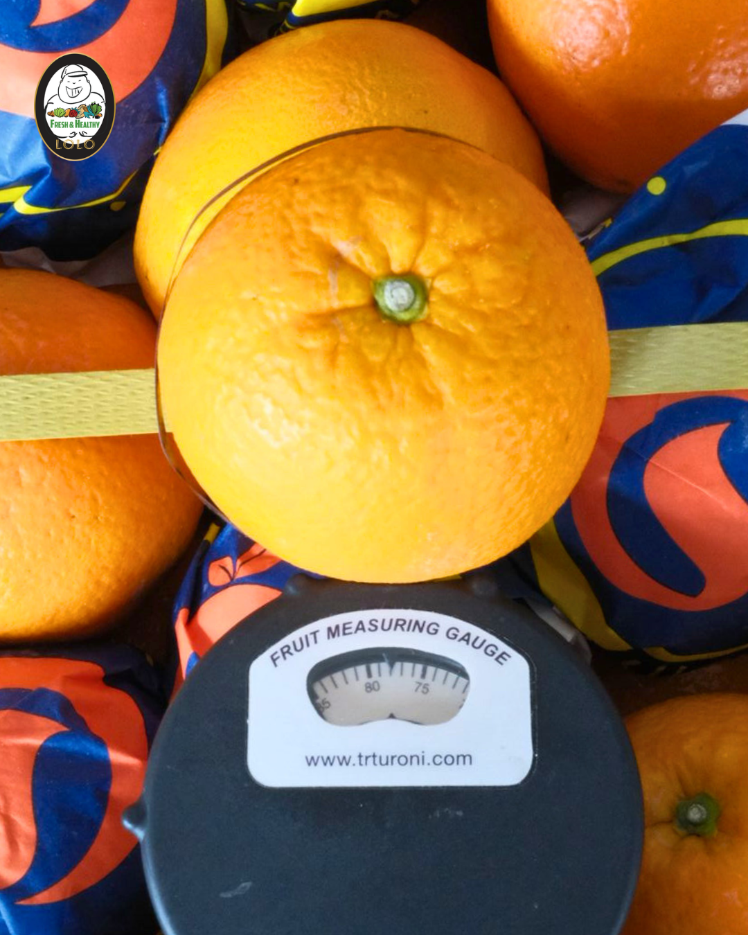 China Navel 中国脐橙 (4pcs) - Image 2