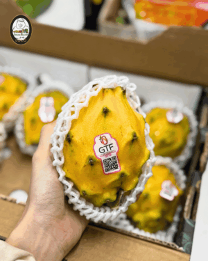 Lolo Fresh Ecuador Golden Pitaya (1pcs/pack)