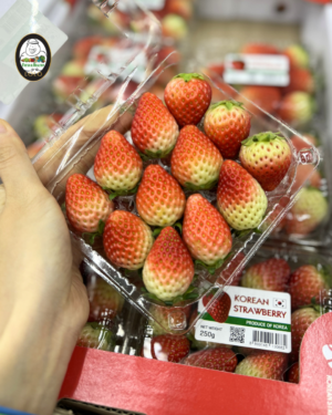 Lolo Fresh Korea Strawberry (250g)
