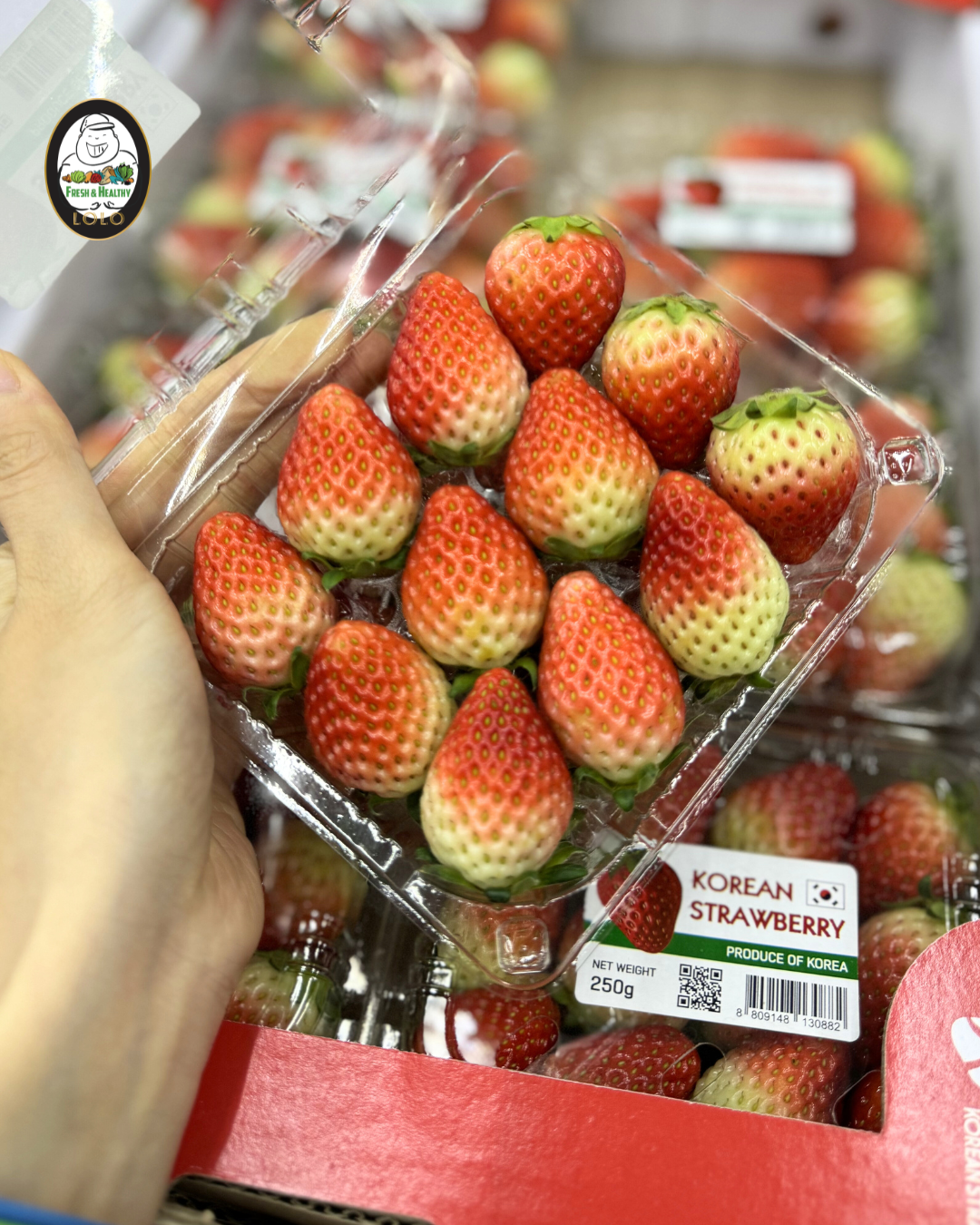 Lolo Fresh Korea Strawberry (250g)