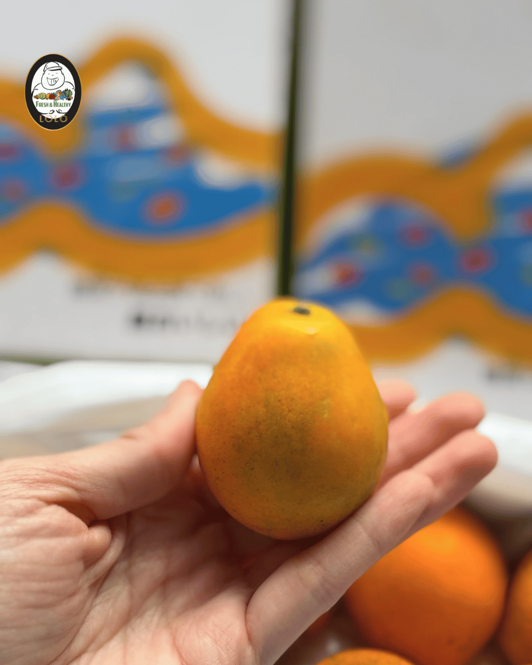 Hitaro Honey Crispy Kumquat (500g) 喜太朗脆皮蜜桔 - Image 3