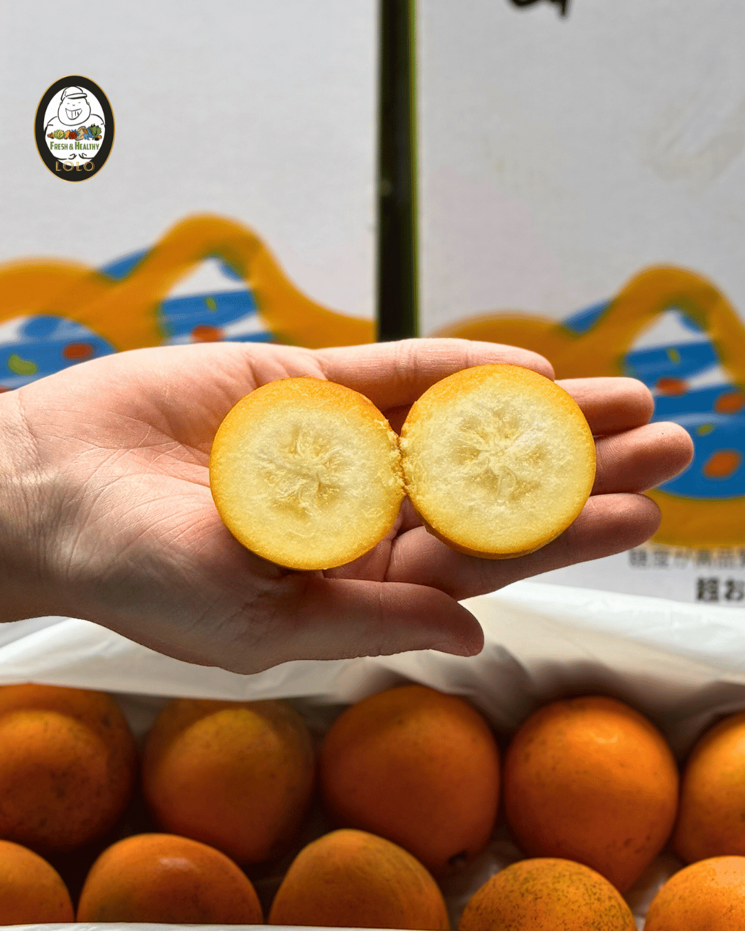 Hitaro Honey Crispy Kumquat (500g) 喜太朗脆皮蜜桔 - Image 4