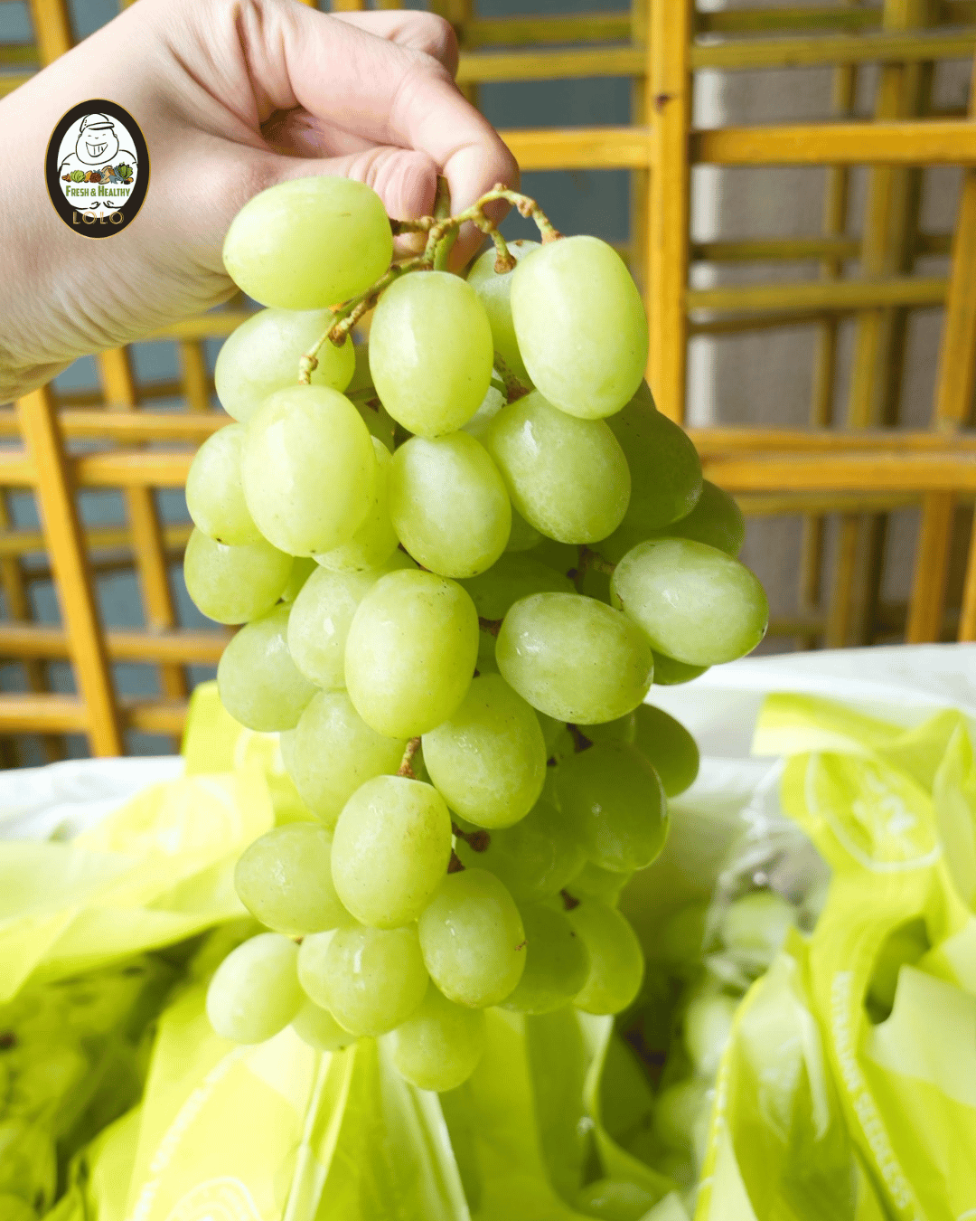 Aust Sweet Globe 澳洲甜球葡萄 (500g) - Image 4