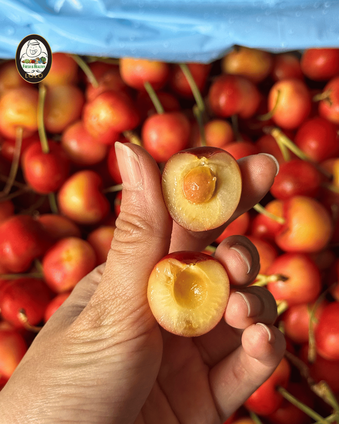 USA Skylar White Cherries Gift Box (1kg) 美国白车厘子 - Image 3