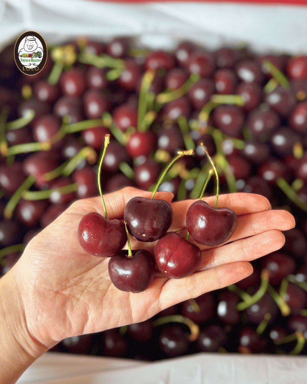 USA Black Pearl Cherries Gift Box (1kg) 美国黑珍珠车厘子 - Image 2
