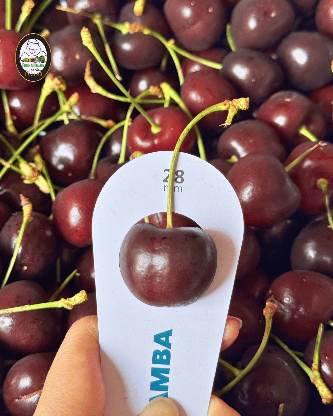 USA Black Pearl Cherries Gift Box (1kg) 美国黑珍珠车厘子 - Image 5