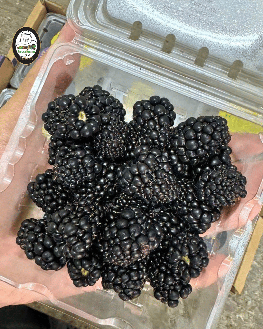 China Blackberries 中国黑莓 (125g)
