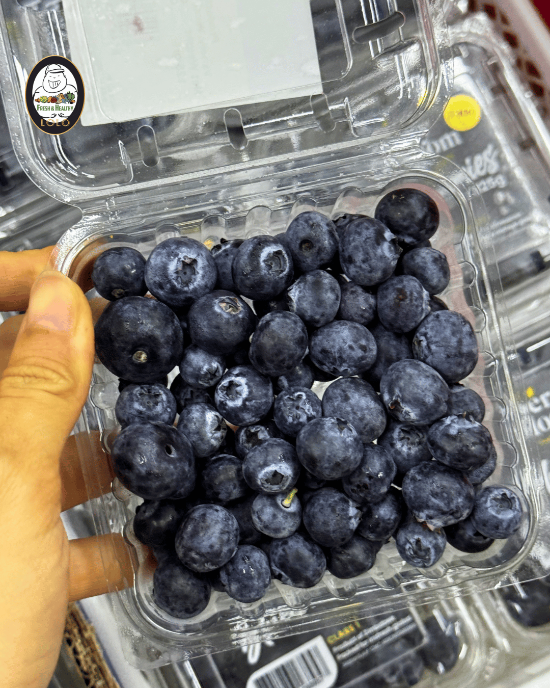 Spain Blueberry (125g) 西班牙蓝莓