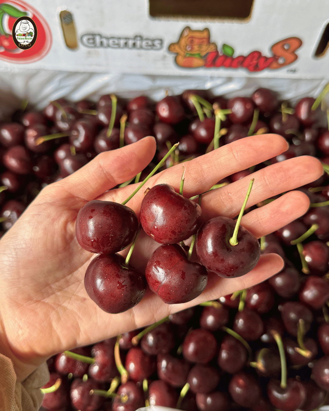 USA Cherry 美国车厘子 (2kg) - Image 3