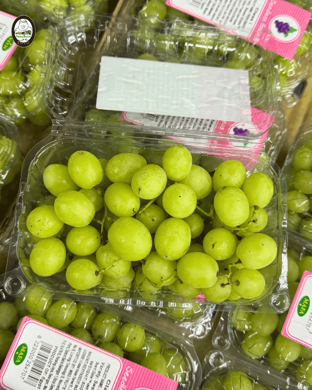 Egypt Sweet Globe (500g) 埃及甜球葡萄 **BY Air