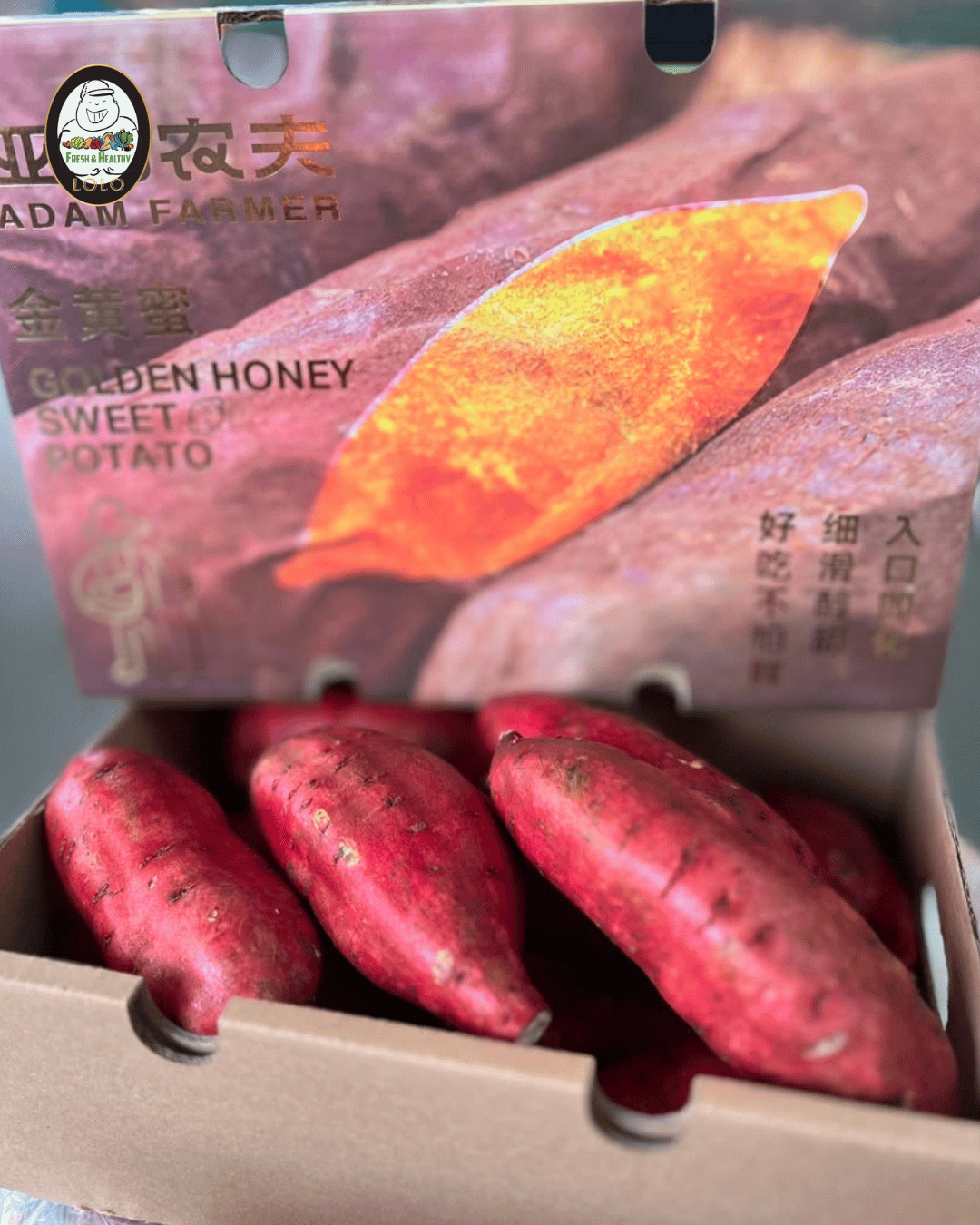 CN Golden Honey Sweet Potato (2kg) 中国黄金番薯