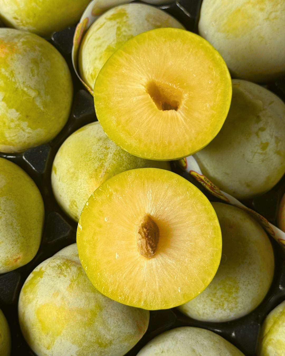 USA Emerald Beau Pluot (4pcs) - Image 2