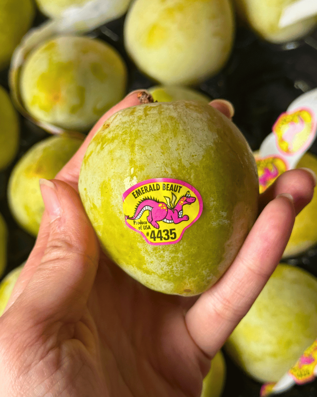 USA Emerald Beau Pluot (4pcs) - Image 4
