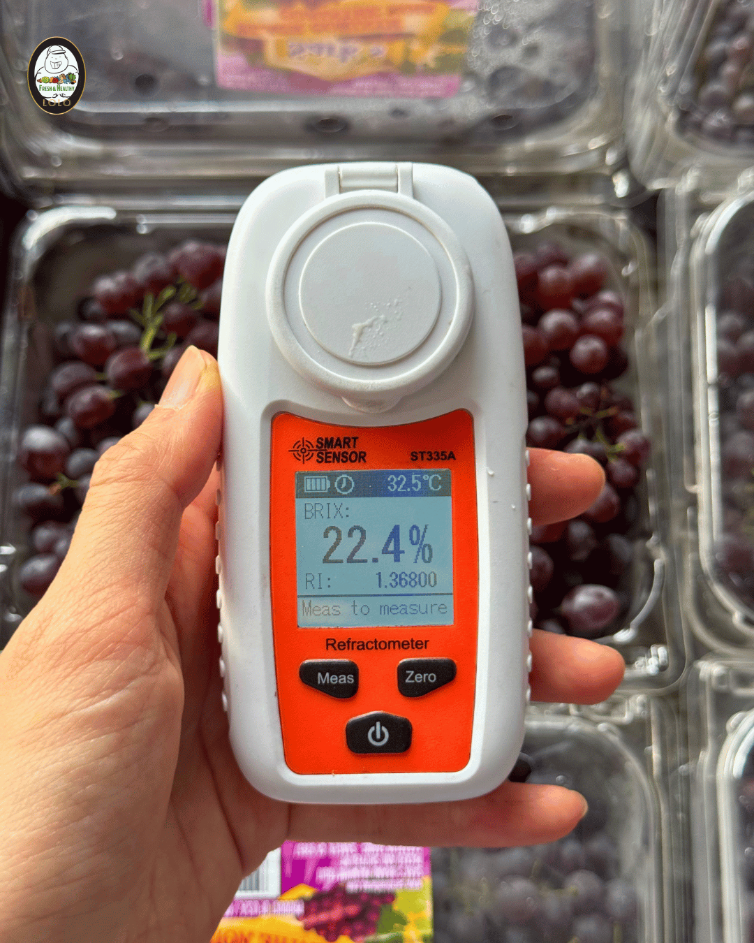 USA Champagne Grape (454g) 美国香槟葡萄 - Image 2