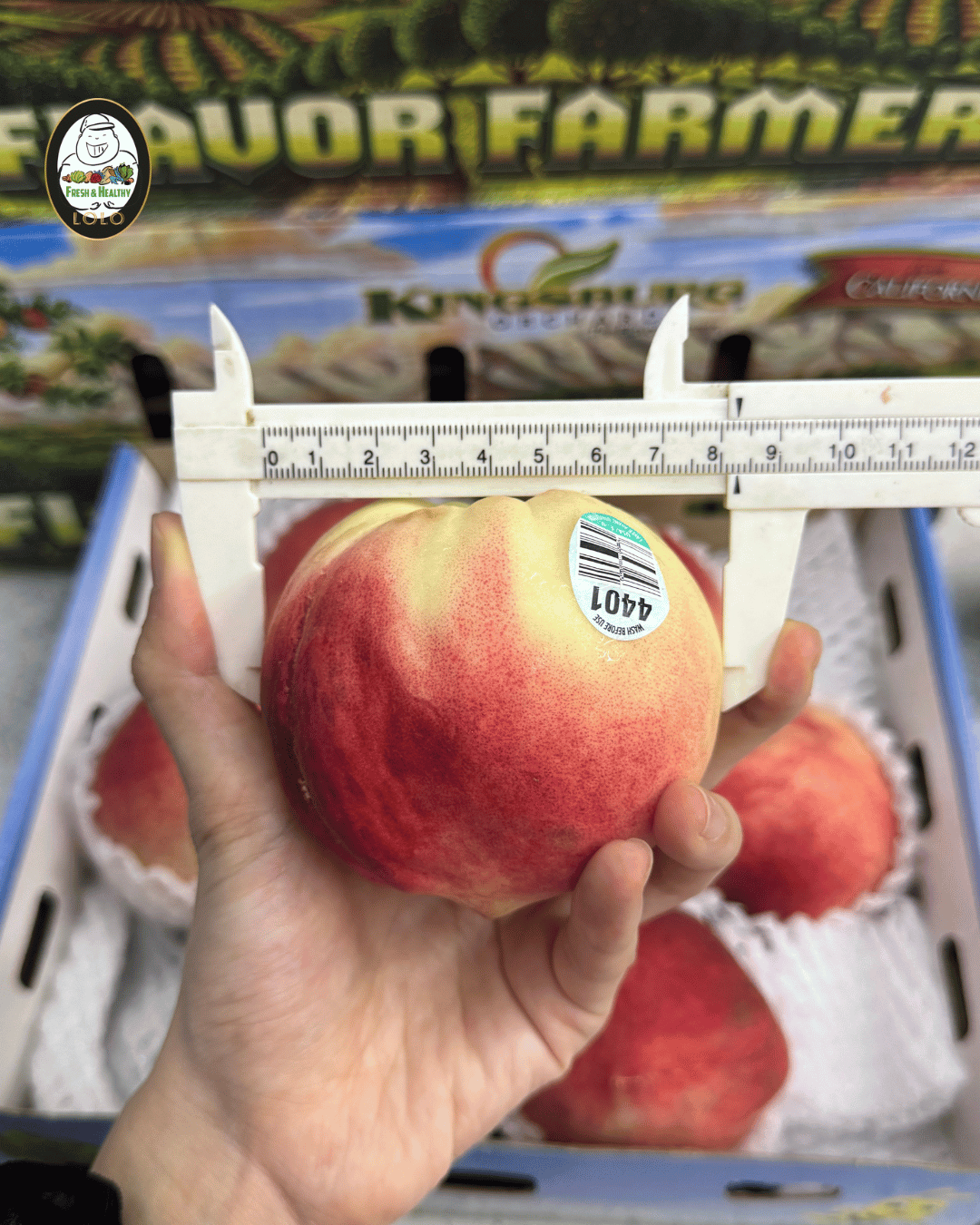 USA White Peach Gift Pack (7pcs) 美国白桃礼盒 - Image 3